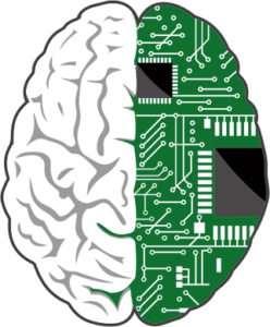 Language Training Using A Brain-Computer Interface