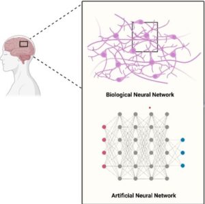 Fabric Based-Spiking Neural Network