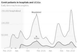 The U.S. Covid Lull (nyt pw)