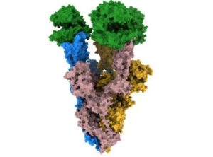 CryoEM Unlocks Understanding Of Covid’s Evolution