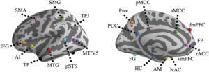 Brain Networks Related To Language And Theory-Of-Mind