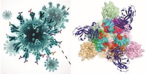 New Vaccine-Resistant Variants