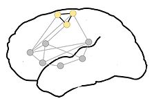 Mind Model With Neurological Circuits