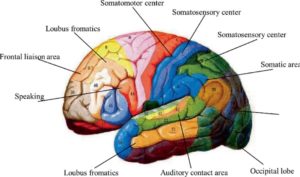 Why AI Is 5-Layer Intelligence