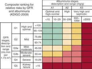 Hypertension And Chronic Kidney Disease