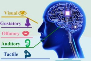 Memory Computing System For Neuronal Communication Via Memristive Circuits