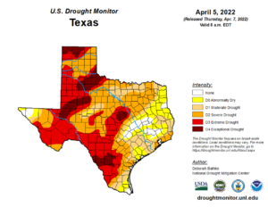 88% Of Texas In Drought, High Wildfire Danger