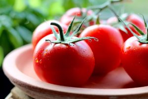 Scientists Turn Tomatoes Into A Rich Source For Vitamin D