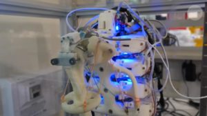 Growing Cells On A Robotic Skeleton