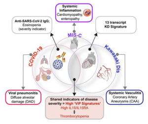 Covid, MIS-C And Kawasaki Disease Share Same Immune Response