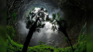 Giant Sinkhole Reveals Massive Ancient Forest