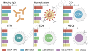 Head-To-Head Comparison Of Four Covid Vaccines