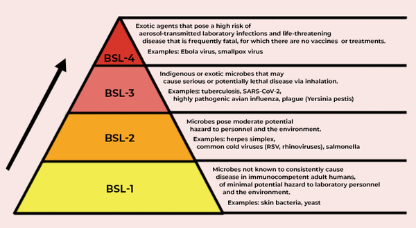 A Primer On Lab Biosafety Levels BL1 – BL4