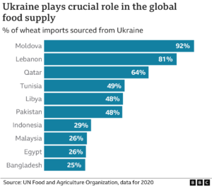 Russia, Ukraine Resume Grain Shipments