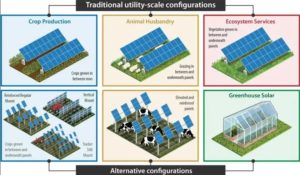 Solving Complex Farming Issues With Solar