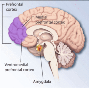 Hepatitis C Drugs May Reduce PTSD Symptoms