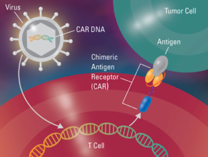 Alternate To Bone Marrow Transplants