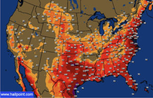 Texas Grid Still At All-Time Max