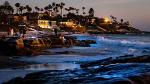 La Jolla & SCA 13 Best Neighborhoods