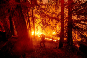 Wildfire Suppression Has Failed And Will Continue To – Here’s An Answer
