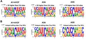 Covid Mutations Accelerated By Virus-Fighting Enzyme