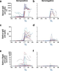 mRNA Vax Produces Mucus Antibody Response