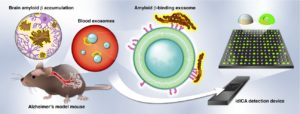 Detecting Alzheimer’s Disease In The Blood