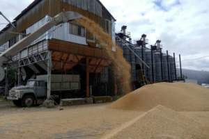 Ukraine: Russia Blocking Grain Deal