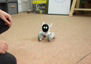 Kickstarter Does $2 Million Bot Dog – SPF609™