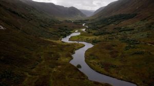 Scotland Is Rewilding, Likely The First Country