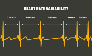 50 Cents Says You Don’t Know What Heart Rate Variability Is 19:22