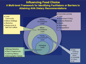What Influences Healthy Food Choices –