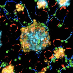 AI Improves Cancer Immunotherapy