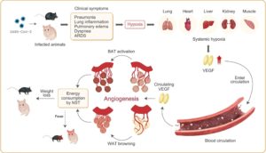 How To Avert Excessive Weight Loss From Covid