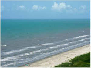 Extreme Heat Has Turned Galveston’s Water Blue-Green