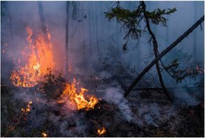 Canadian Wildfires Massive, Largest Ever Recorded, 100X Firefighters Experience