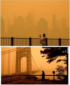 NYC Air Quality