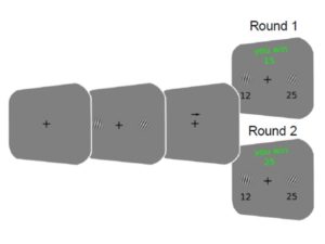 Visual Perception Is More Rational Than We Think