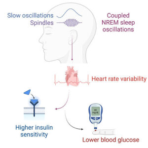 Deep-sleep Brain Waves. Heart Rate Variability & Predict Blood Sugar Control^