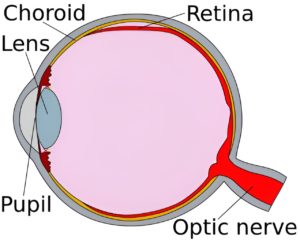 New Minimal Invasive Technique To Repair Retinal Detachment