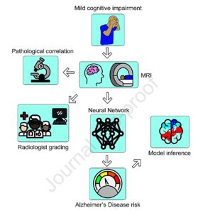 Risk Factors For The Progression Of Mild Cognitive Impairment To Alzheimer’s – 3P™