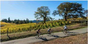Three Top Rides In Sonoma County  – SpeedO™