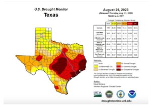 Texas Drought, Wildfire Risk, Large Wildfire Evacuation Underway – LakeTX™