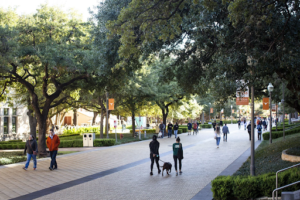 UT Austin Full Tuition & Fee Scholarships For Families Under $65k AGI