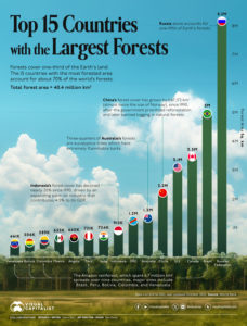 Our Forests – an incredible, enduring, critical natural resource