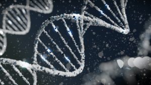 Novel genetic variants associated with Alzheimer’s disease  – A4DP™