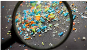 Microplastics move from gut to brain, block micro-capillaries, cause other body illness – A4DP™