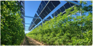 USDA funded AgSolar™ a huge market & opportunity – SUNz™ (“Suns”) W&C^