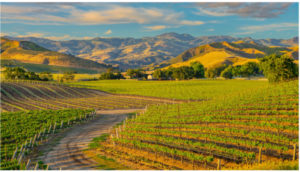 Thinking California – Santa Ynez Valley