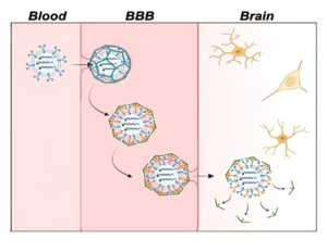 Improving Alzheimer’s disease imaging with fluorescent sensors – A4DP™